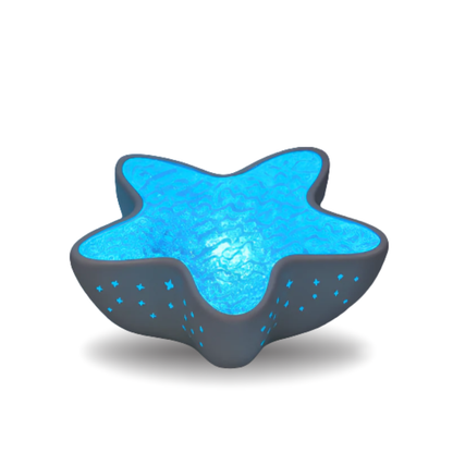 Estrella de Mar Luminosa