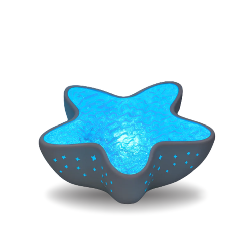 Estrella de Mar Luminosa